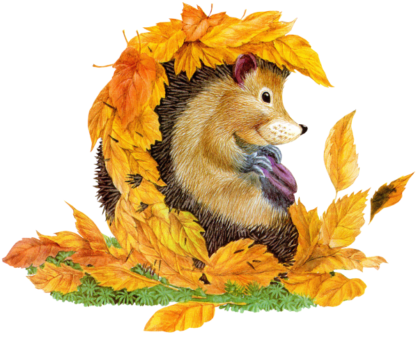 Ежик с листьями