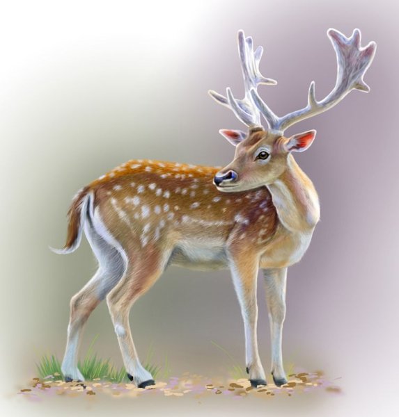 Художник Надежда Бусарева