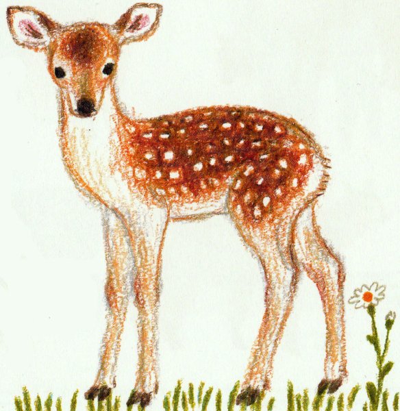 Олененок рисунок