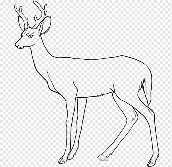 Нарисовать оленя