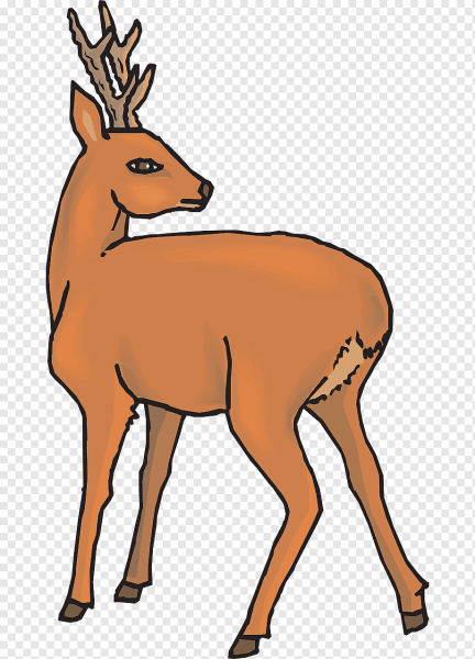 Косуля Графика