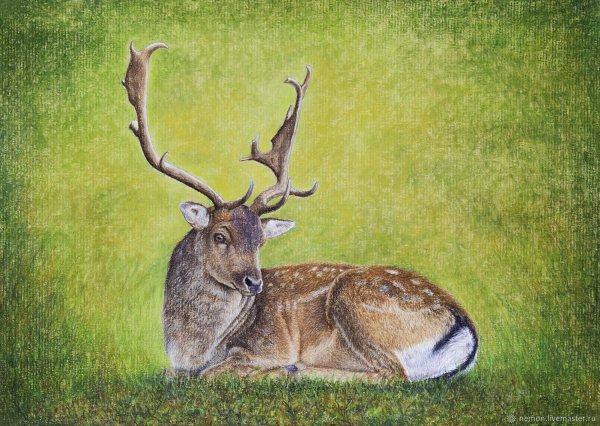 Олень рисунок