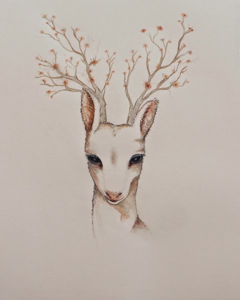 Рисунок лани