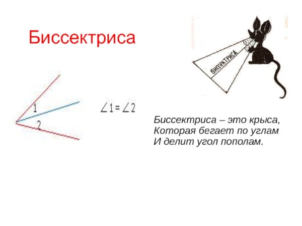 Биссектриса треугольника чертеж