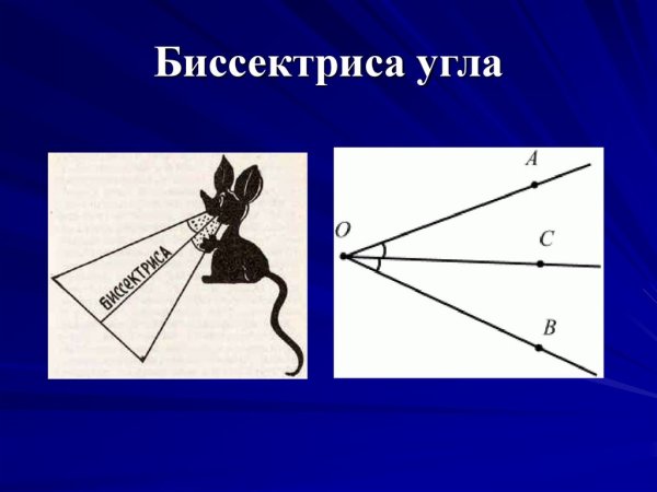 Биссектриса остроугольного треугольника