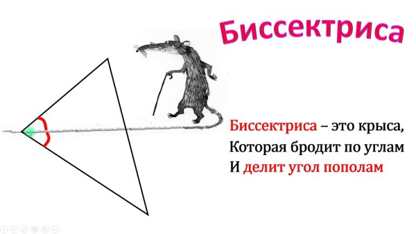 Биссектриса треугольника