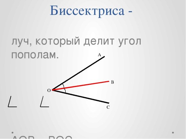Биссектриса треугольника треугольника