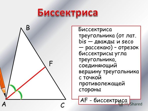 Свойство биссектрисы треугольника чертеж