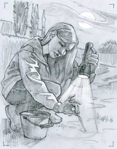 Профессия эколог