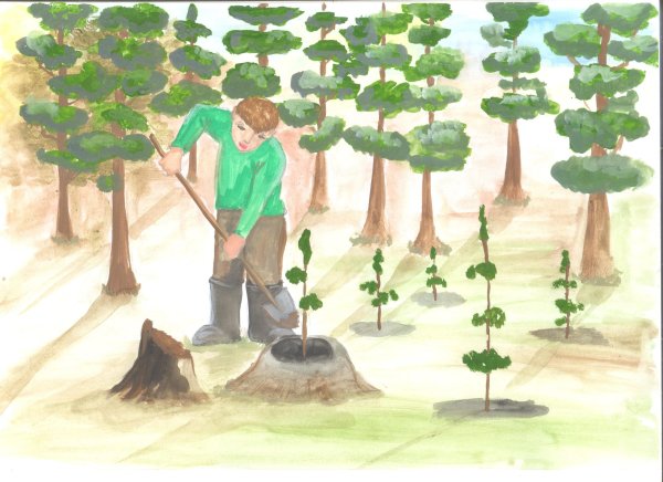 Профессия эколог рисунок