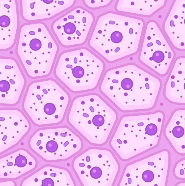 Фон для презентации гистология