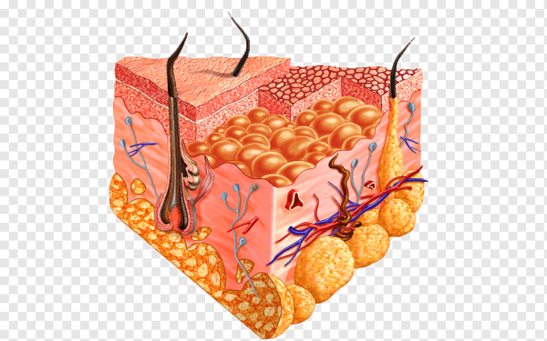 Кожа в клетку текстура
