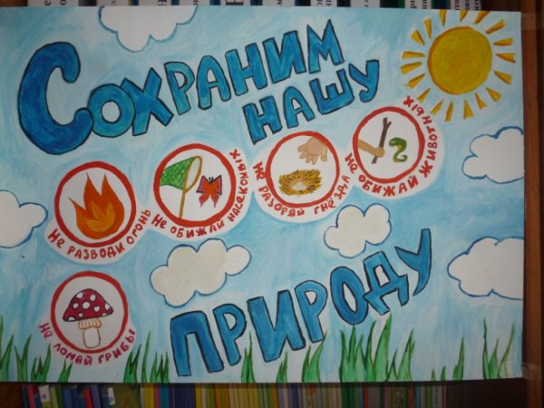 Плакат защита природы