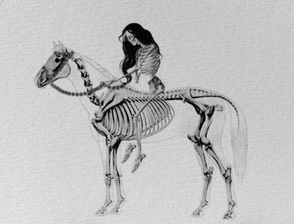 Тату скелет лошади