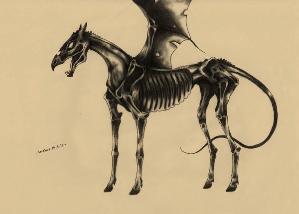 Фестрал лошадь