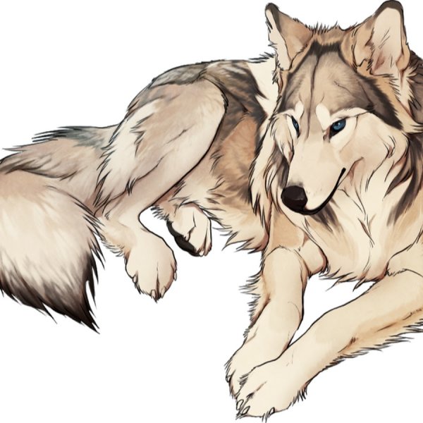 Волк рисунок