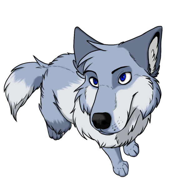 Волк рисунок