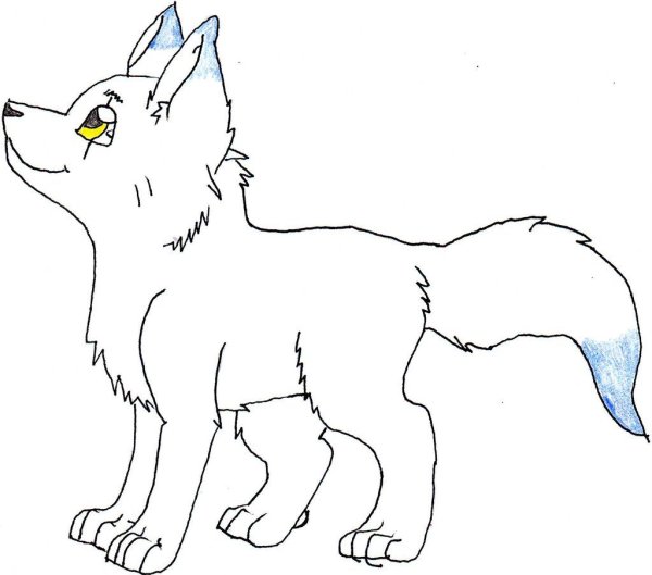 Волк рисунок карандашом для детей