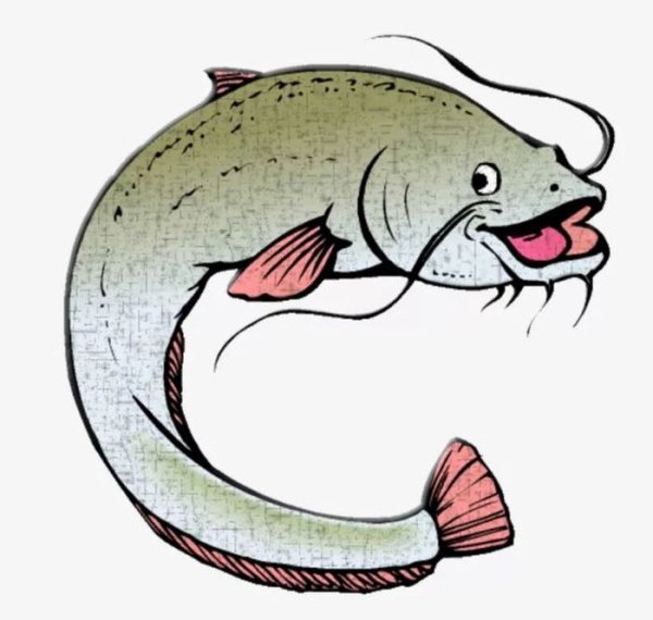 Сом картинка для детей