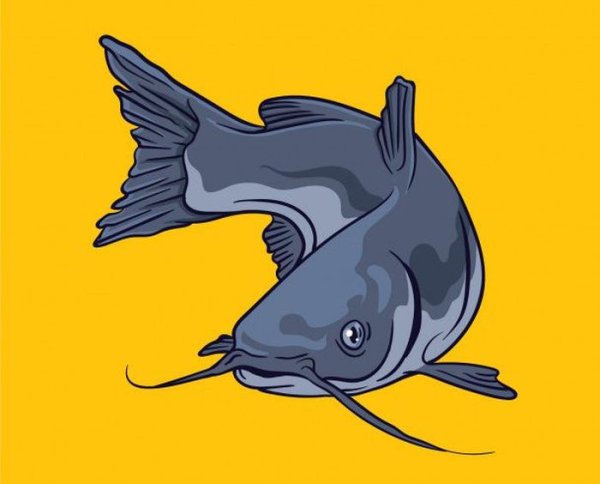 Сом мультяшный