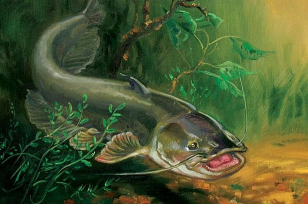 Сом для детей