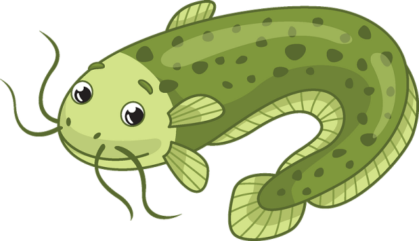 Сом мультяшный