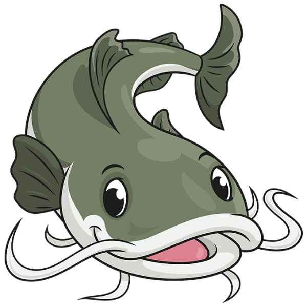 Сом для детей