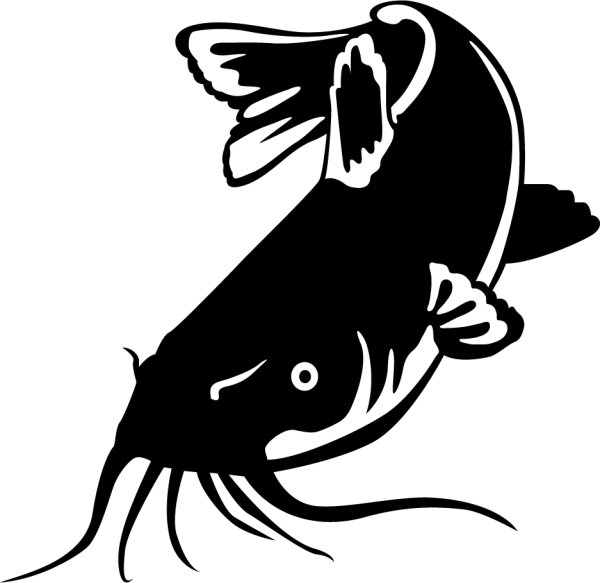 Силуэт сома