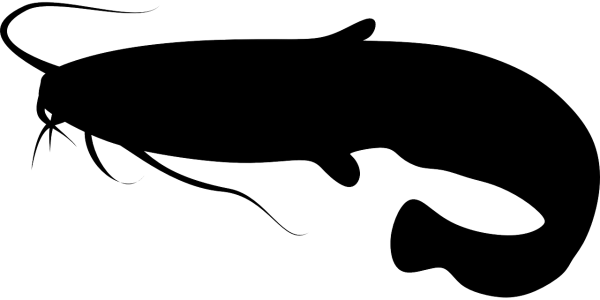 Налим силуэт