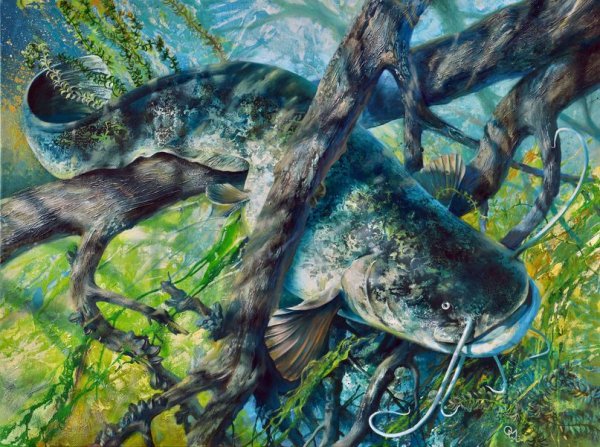 Картины с рыбой сом
