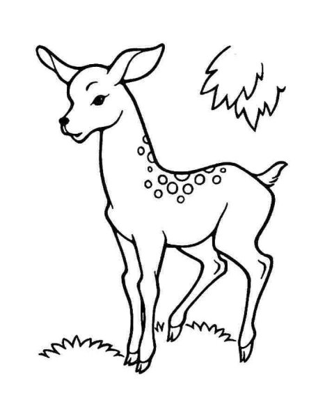 Олень раскраска