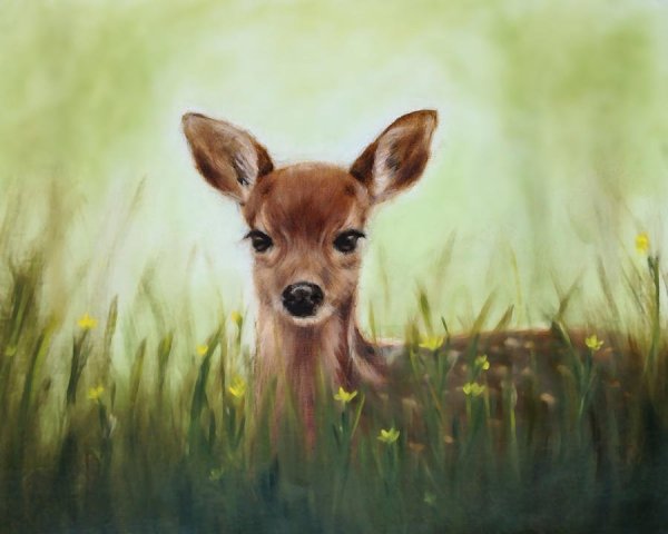 Олененок портрет