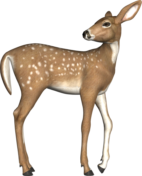 Лань для детей