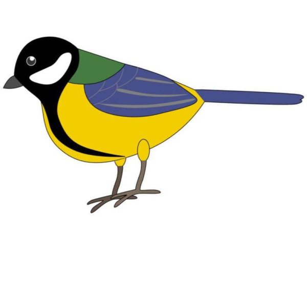 Рисование с детьми синичка