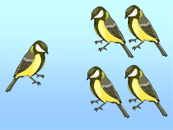 Зимующие птицы синица для детей