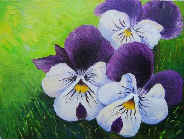 Нарисовать цветок Анютины глазки