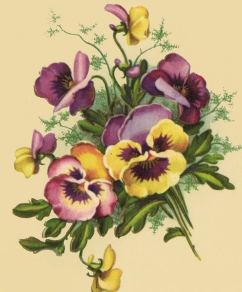 Decoupage/"Анютины глазки".