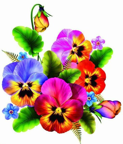 Анютины глазки Пинтерест