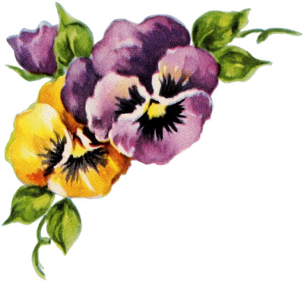 Рубцов Анютины глазки