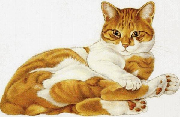 Лежачая кошка нарисовать