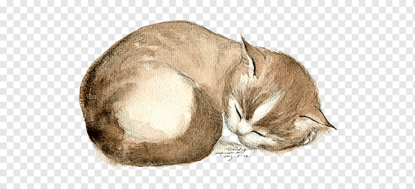 Кот спит свернувшись клубком