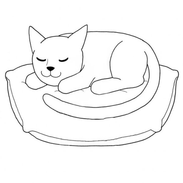 Лежанка для кошки раскраска