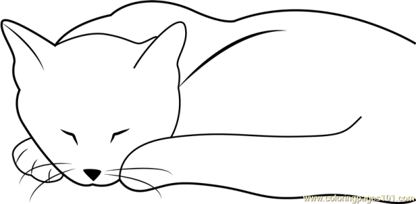 Кошка спит раскраска