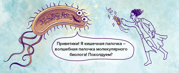 Веселая кишечная палочка