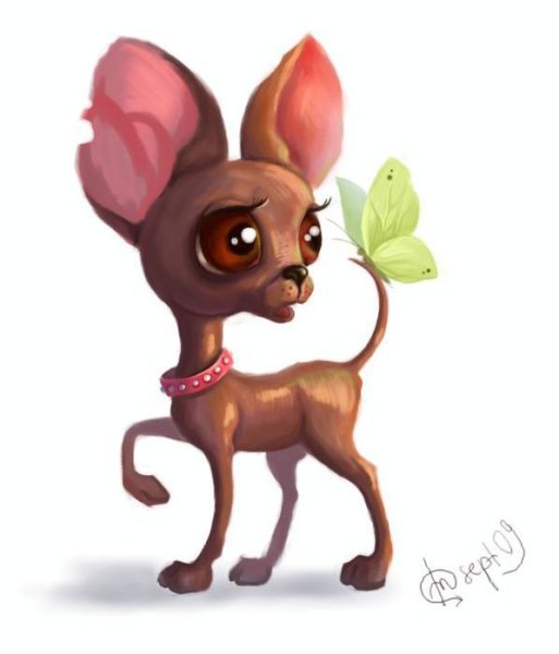 Нарисовать той терьера