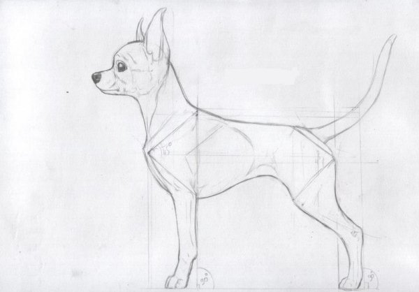 Портрет чихуа Хуа