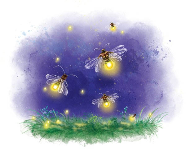 Светлячок акварель