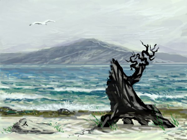 Сказочные деревья Байкал