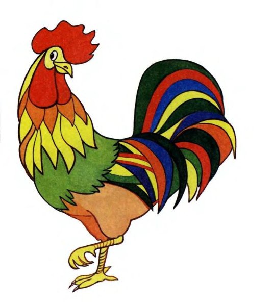 Петух рисунок