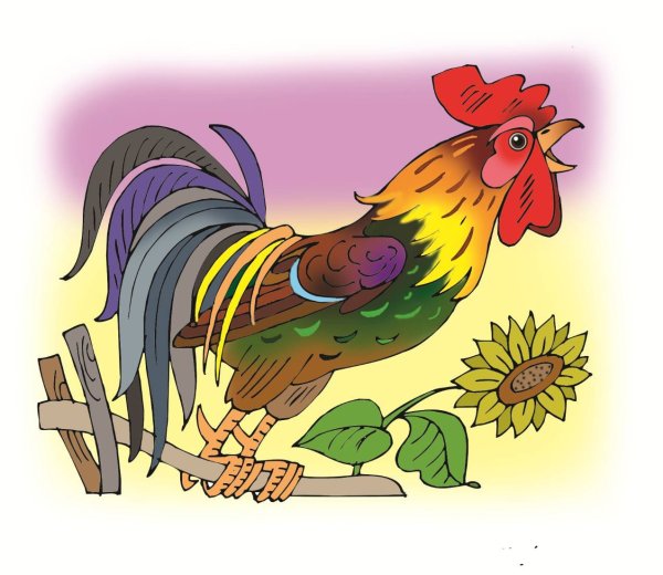 Петух рисунок